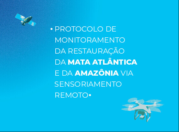 Alt da imagem